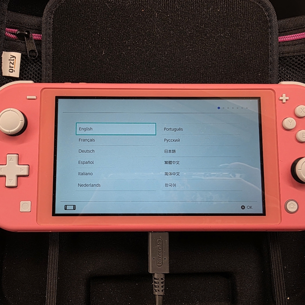 Nintendo Switch Lite
